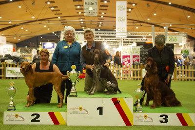 Vdh Landesverband Baden Wurttemberg